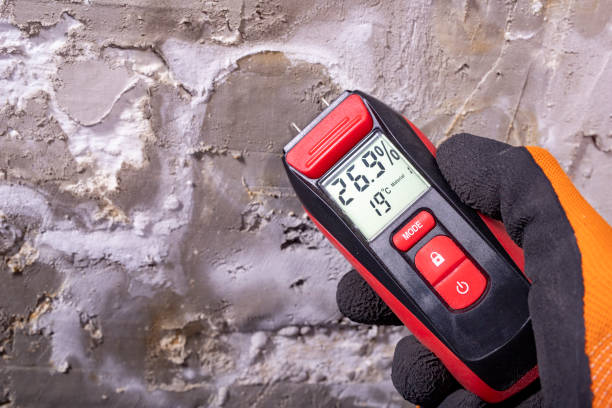 Best Mold Removal Near Me  in Swainsboro, GA