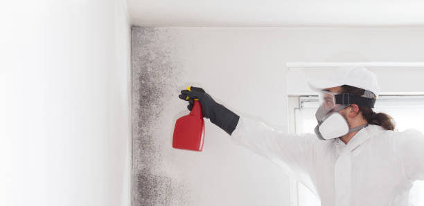 Best Commercial Mold Removal  in Swainsboro, GA