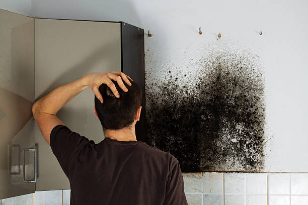 Best Attic Mold Removal  in Swainsboro, GA